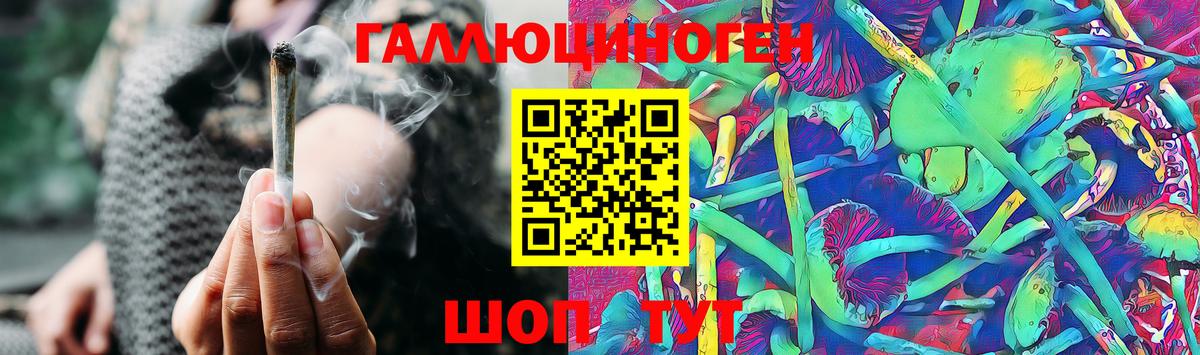 Галлюциногенные грибы Cubensis Тимашёвск