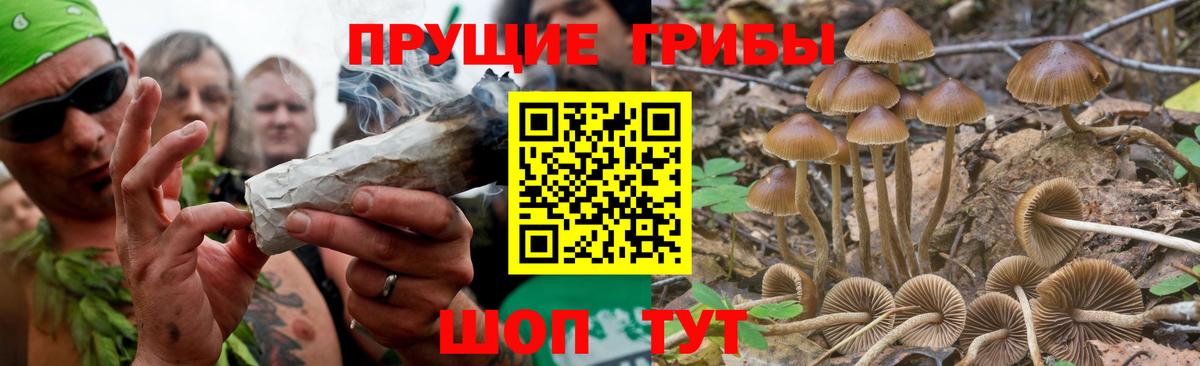 Псилоцибиновые грибы MAGIC MUSHROOMS  Вход с VPN  Псилоцибиновые грибы ЛСД  Тимашёвск 